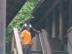 Copy-of-dollywood-labor-day-9-3-07-021_72x54_c_r1