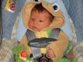 Baby-turtle_120x90_c