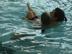 Dsc01475_72x54_c_r1