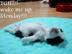 Wake-me-out-on-monday_72x54_c